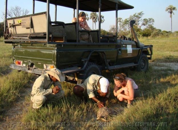 Nature in Botswana