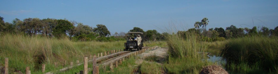 Game Drives in Botswana