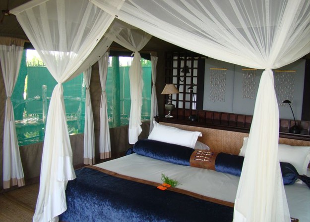 Tent Duba Plains