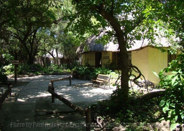 Reception Island Safari Lodge