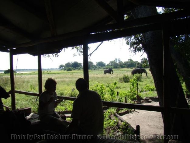 Afternoon Tea Little Kwara