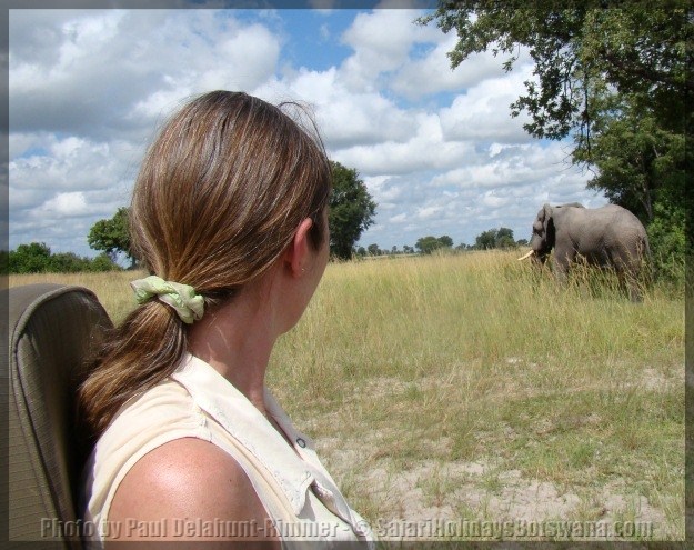 safari drives in botswana