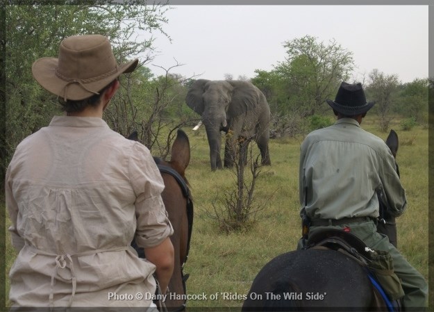 Botswana horseback safari