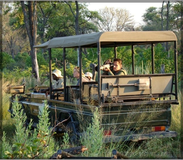 Photographing animals on safari in Botswana