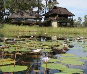 Gunns Camp, Okavango Delta