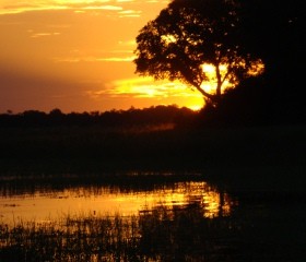 Kwara Camp, Okavango Delta