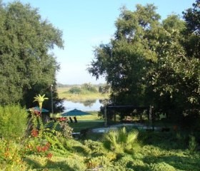 Thamalakane River Lodge, Maun